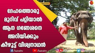 നടൻ ഗണേശന്റെ സ്വന്തം കീഴൂട്ട് വിശ്വനാഥൻ | Keezhoot Viswanathan | K B Ganesh Kumar | E for elephant