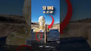 50 BMG Vs .22 LR (Dummy Head Explosion Test)