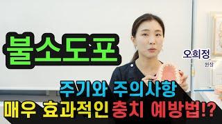 [불소도포] 구강관리에 베스트인 예방법이 있다?! #충치예방 #불소도포 #예방치과