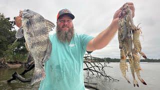 Shrimping & Fishing in South Carolina's Low Country!!! Catch Clean Cook