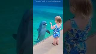 This Dolphin suprise the girl
