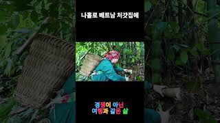 베트남 시골 처갓집 처형들과 죽순 캐기 #베트남시골  #국제결혼  #한베커플