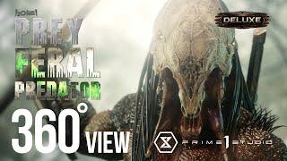 Feral Predator  | 360° VIEW | Prime 1 Studio