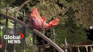 Pig head mounted on UBC fence an act of antisemitism, Jewish group says