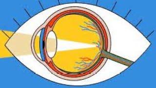 How to measure the correct eye relief for your rifle scope.