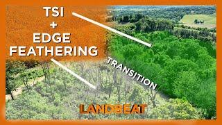 TSI + Edge Feathering | Creating Transition Areas For Deer!