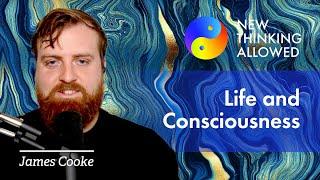 How Matter Became Conscious and Alive with James Cooke