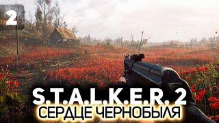 Маковое поле ️ S.T.A.L.K.E.R. 2: Heart of Chornobyl [PC 2024] #2