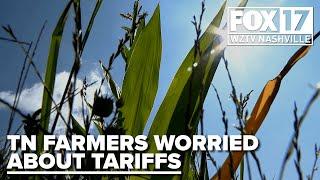 Tennessee farmers express frustrations over tariffs