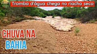 Enchente chegando em Rio Seco e MUITA CHUVA NA BAHIA v41