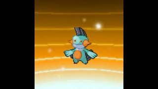 pokemon mudkip evolution