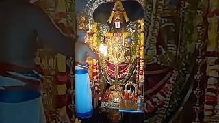 truptiBalaji संध्या दर्शन#tirupatibalajimandir#तिरूपतिबालाजी तिरुमला तिरुपति बालाजी मंदिर #tirupati