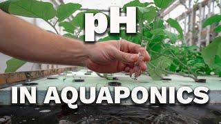 How to Regulate pH in Aquaponics: Essential Tips for a Healthy System!