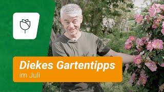 Diekes Gartentipps im Juli