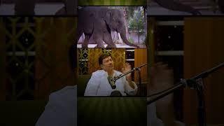 E Movie Chusara?? #cinema #podcast #animallover