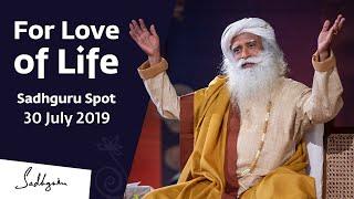 For Love of Life | Sadhguru Spot