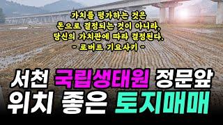 서천 국립생태원 정문앞 충남 서천군 토지매매 1억7천만원 (매물번호13)