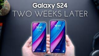 Galaxy S24 & S24 - Better Than the S24 Ultra??