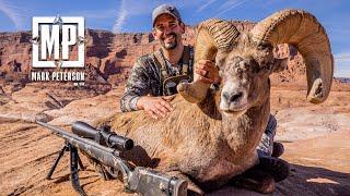 Utah Desert Bighorn, Sheep Week 2022 | Mark Peterson Hunting