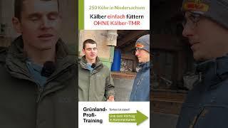 Kälber einfach füttern OHNE Kälber-Trocken-TMR | Kälberkorn + Stroh getrennt! #Alpuro Breeding