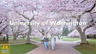 University of Washington - Virtual Walking Tour [4k 60fps]