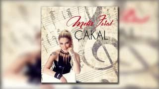 Melis Fırat - Çakal