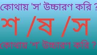 বাংলা ভাষায় শ /ষ /স -এর ব্যবহার কেমন?