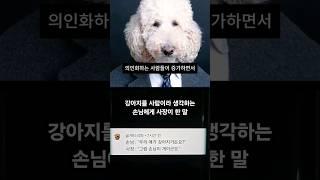 강아지를 사람으로 생각하는 손님에게 사장이 한 말 #SHORTS