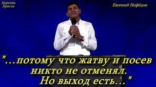 "…потому что жатву и посев никто не отменял. Но выход есть…" 27-10-2024 Евгений Нефёдов