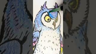 Ever Seen an Owl and Squirrel Talk? Watch This Satisfying Coloring Time-lapse!