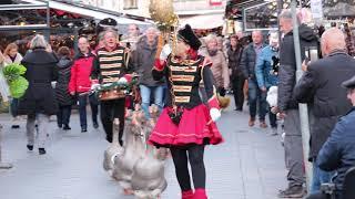 Geese Parade  in valkenburg   holland