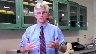 How are Animals Essential to Research?     Vaccine Makers Project