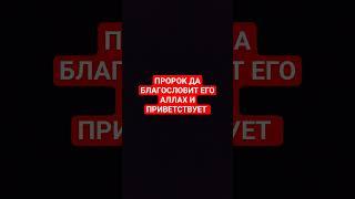 ПРОРОК ДА БЛАГОСЛОВИТ ЕГО АЛЛАХ И ПРИВЕТСТВУЕТ | #quran #религия #islam