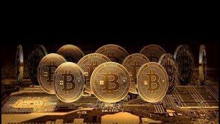 The Crypto Genius Login