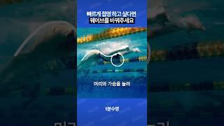 접영을 빠르게 하고 싶다면?#수영 #접영 #1분수영