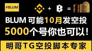 BLUM直接5000个号全军出击！复刻仓鼠冲刺近期最大毛！全网最强脚本帮你上百号千号！#blum  #空投教程 #空投 #空投项目 #airdropcrypto