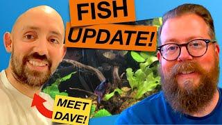 School Aquarium Update PLUS Q&A with Dave from "Fishy Tales!"