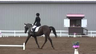 Danielle Hart & Caduceus Rex - Dressage - Roebke's Run HT 2011