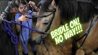 BRIDLE BLOOPERS: NATALIA VS. LOUIS IN THE GREAT PONY GEAR-UP SHOWDOWN