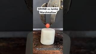 SRHNB vs Jumbo Marshmallow  #Satisfying #Experiments #Marshmello #SRHNB #ASMR #Science