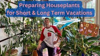 What to do with Houseplants while Away from Home on Vacation - Long Term & Short Term