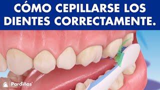 Cómo lavarse los dientes correctamente - El cepillado dental ©