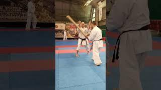 Tameshiwari wood stick / Nikolay Korovin Sensei demonstration of the Okinawan karate power