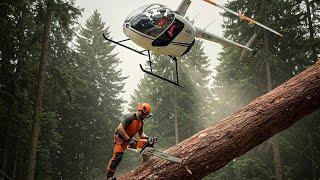 Stihl 500i vs Stihl 400c vs Stihl 291 #stihl#chainsawman #chainsaw #cuttingwood #madeingermany