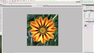 Photoshop: Finding The Canvas Center & Using The Guides