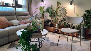 INDOOR HOUSE PLANTS, IKEA ITEMS,Wild At Home