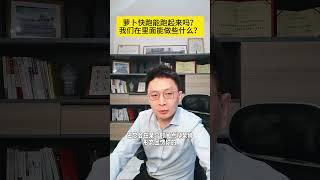 萝卜快跑来了怎么办 萝卜快跑，能跑起来吗？我们在里面能做些什么？#人工智能#百度#AI#李彦宏#萝卜快跑