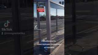 Особенности автобусных остановок. Shorts. Канада.