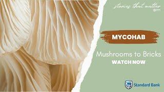 MycoHab Mushroom Project