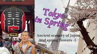 Ancient scenery of Japan and spring flowers - ’24 April - No. 1 A glimpse of Tokyo 日本の原風景と春の夢１ちらっと東京